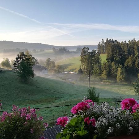 Ferienwohnung Haus Erlenmoos St. Georgen im Schwarzwald Exterior foto