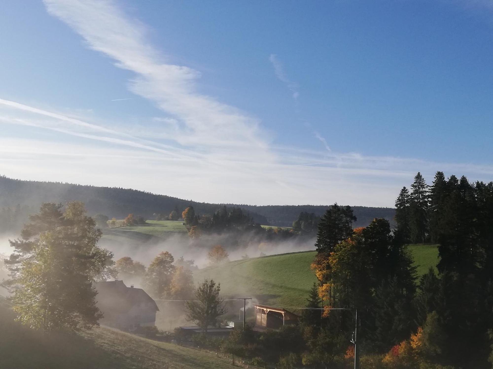 Ferienwohnung Haus Erlenmoos St. Georgen im Schwarzwald Exterior foto