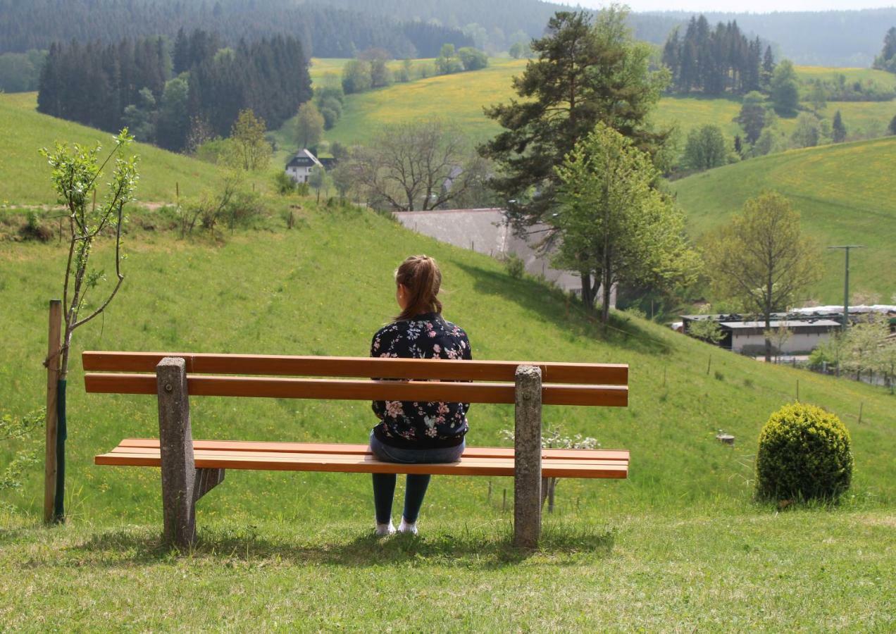 Ferienwohnung Haus Erlenmoos St. Georgen im Schwarzwald Exterior foto